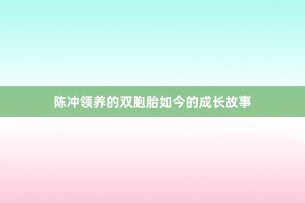 陈冲领养的双胞胎如今的成长故事